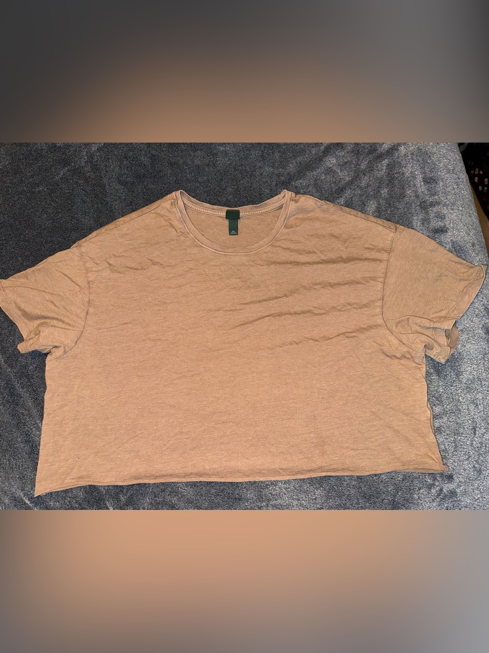 wild fable women’s cropped Crew Tee - Tan